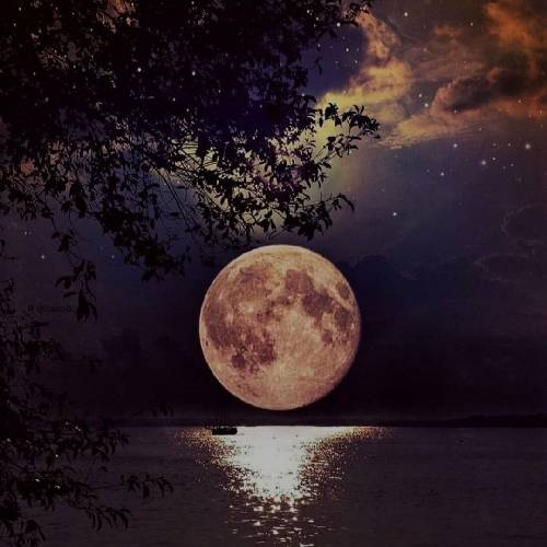 مجتبی نصیری ای دختر زیبا بیا بریم دریا ظهر تابستونی منو نزار تنها